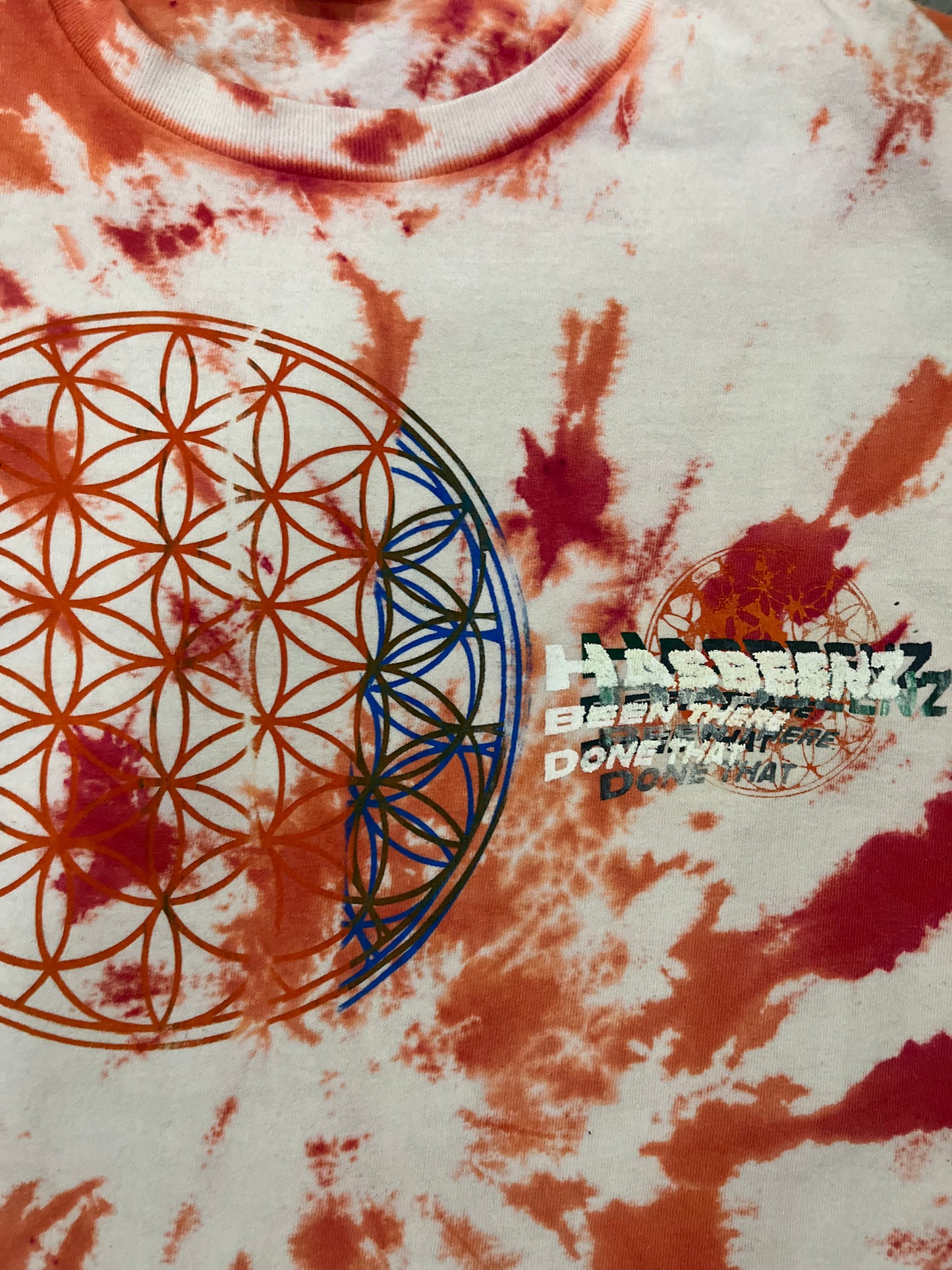 Hasbeenz Upcycled Tyedye W/ Random life/death Screen Print