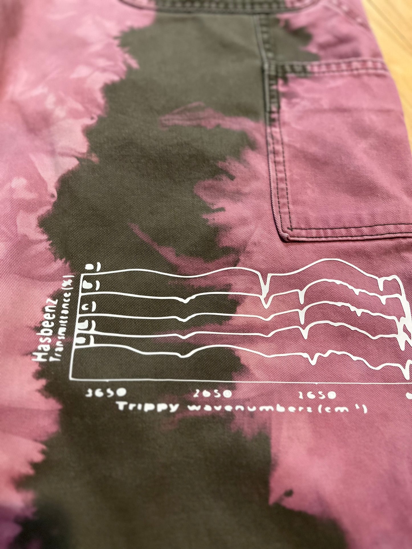 Carhartt x Hasbeenz Painters Pants