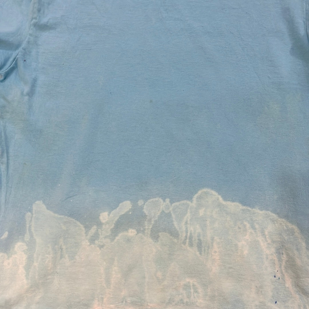 Hasbeenz Custom Dyed Tee