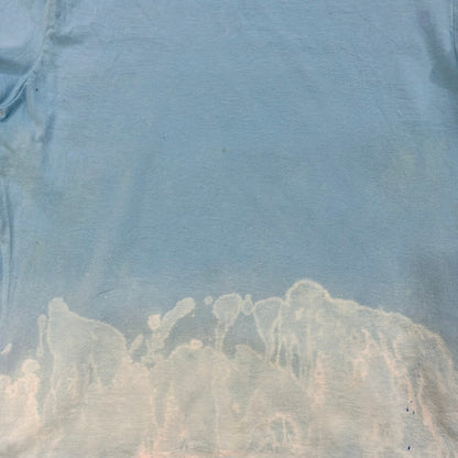 Hasbeenz Custom Dyed Tee